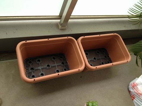 深鉢プランター